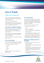 Thumbnail image of the iron in foods fact sheet