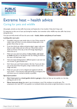 Thumbnail image of the Caring for pets and wildlife during extreme heat 